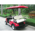 Single seat cheap golf cart with 48v 2000w brushless high frequency dc moto for sale